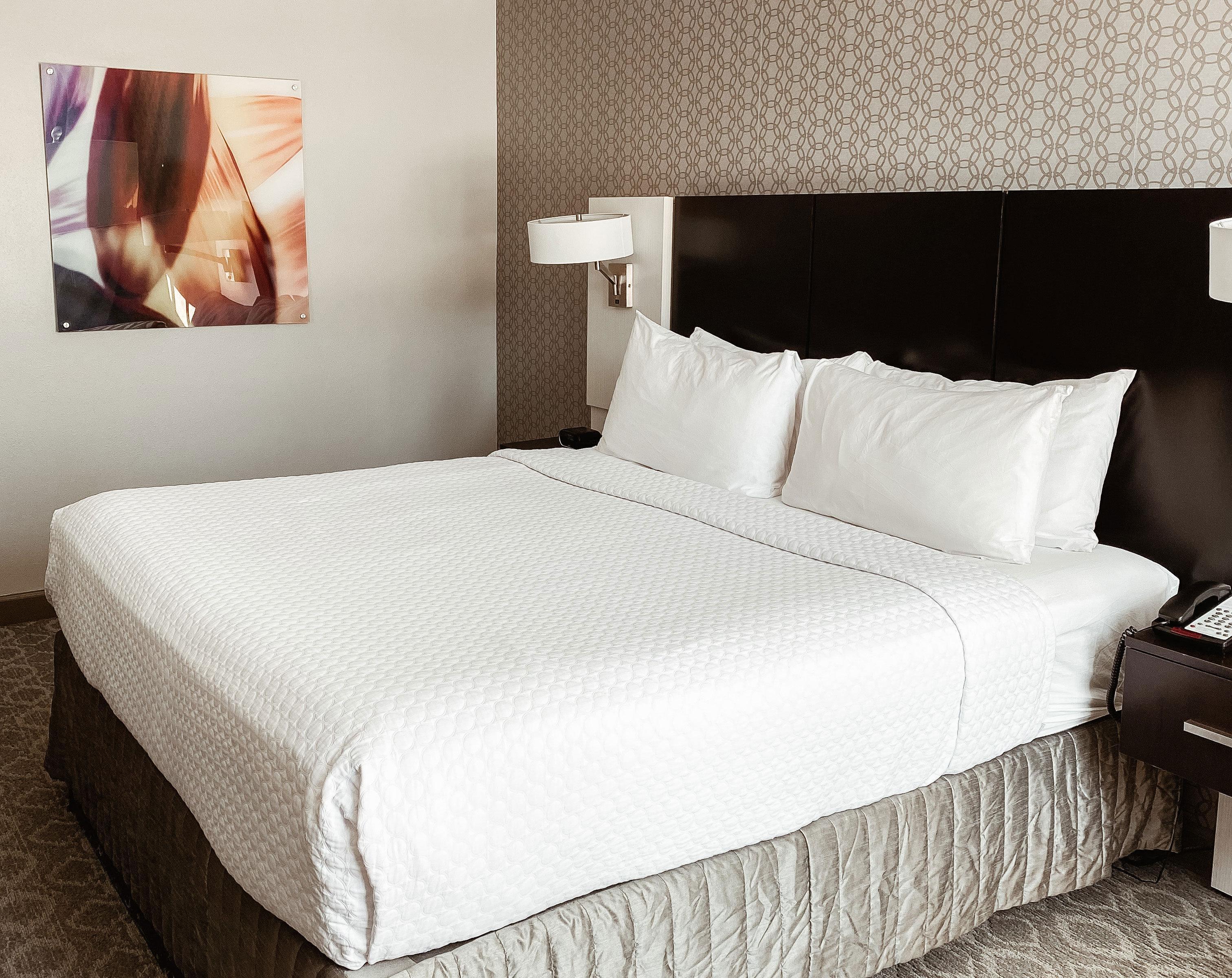 Crowne Plaza Chicago Sw - Burr Ridge By Ihg Hotel Eksteriør billede
